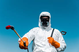 Real Estate Pest Inspections in Silverton, OR